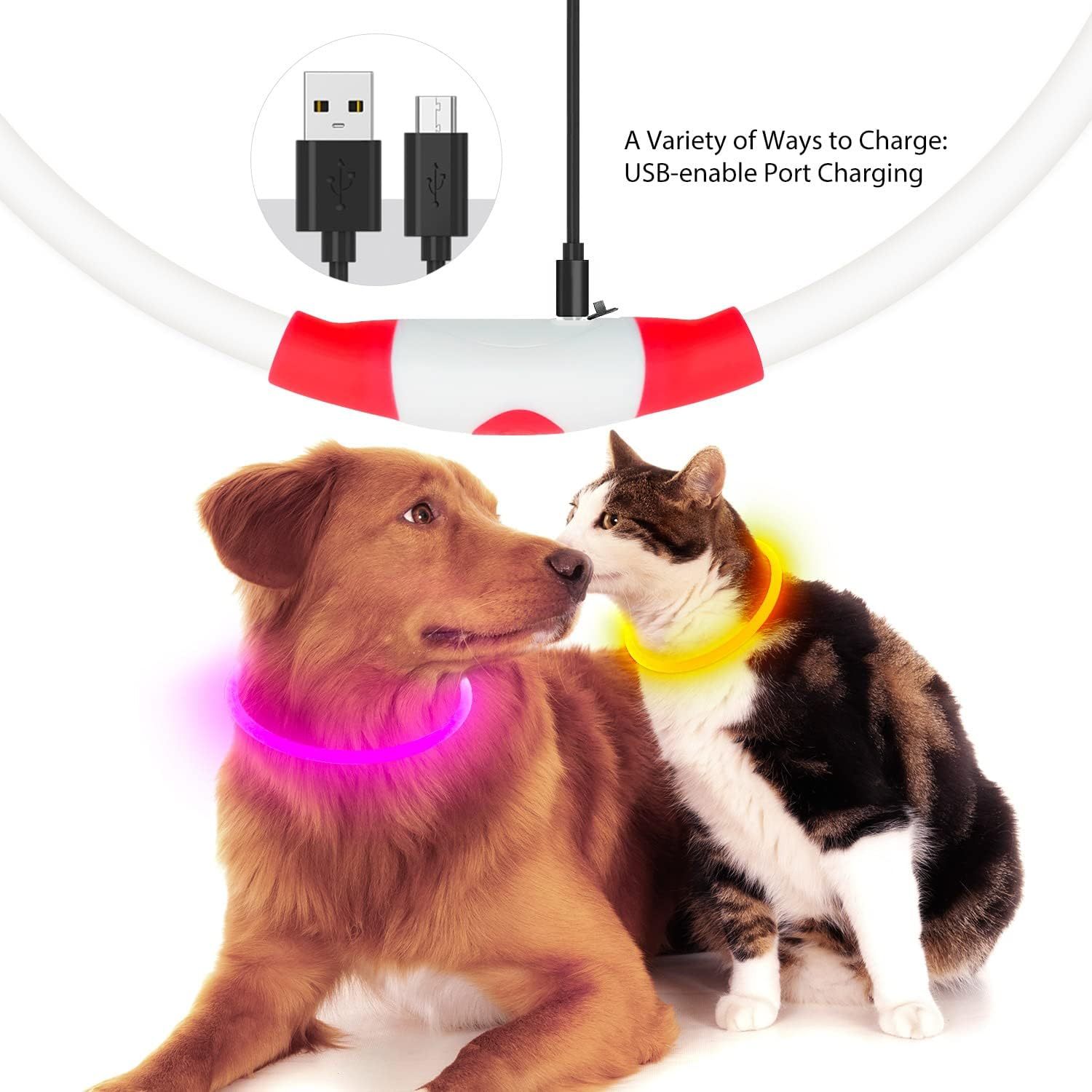 LED Dog Collar USB Rechargeable Glowing Pet Collars Lighted Up Safety Necklace Glow In The Dark For You Your Dogs - Image 8