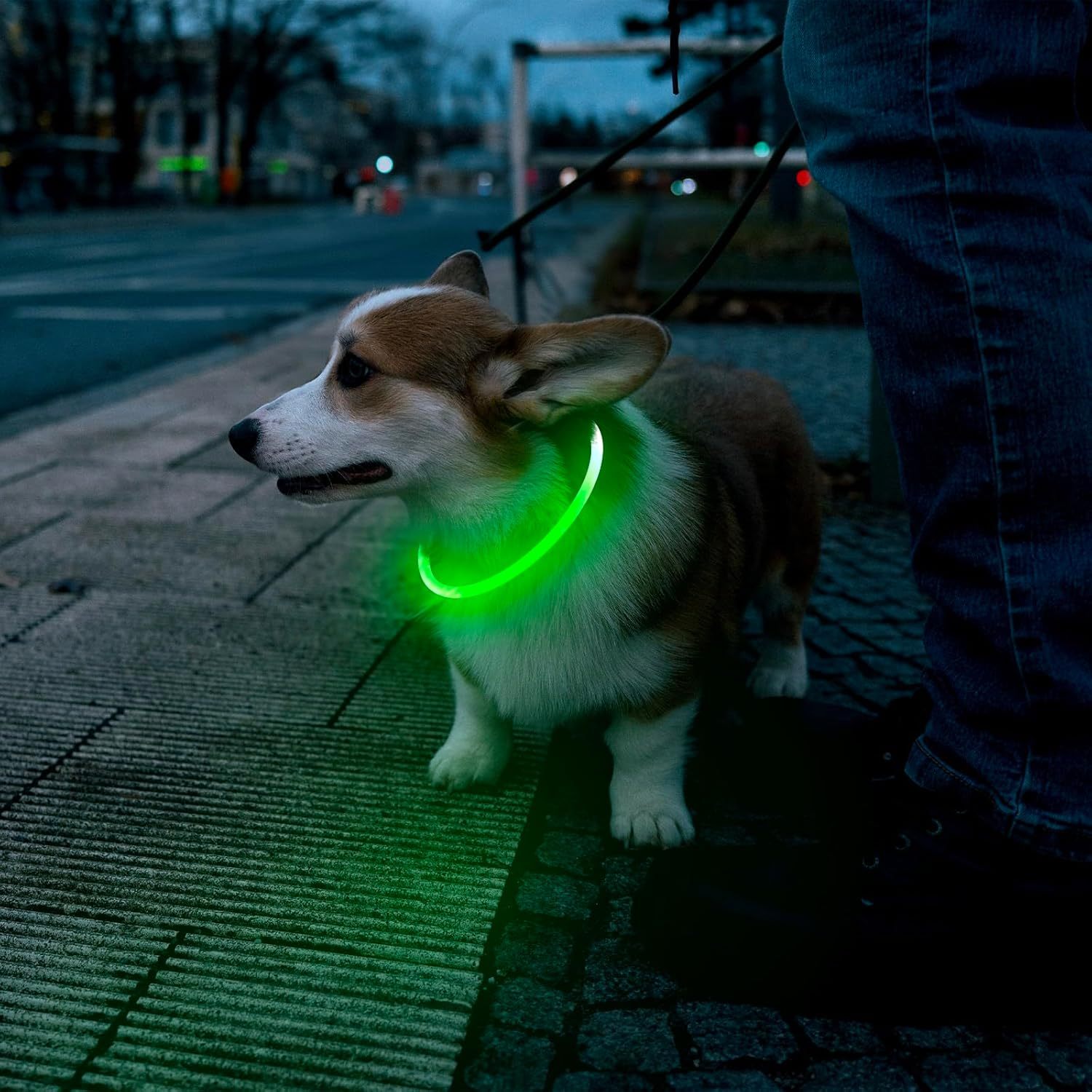 LED Dog Collar USB Rechargeable Glowing Pet Collars Lighted Up Safety Necklace Glow In The Dark For You Your Dogs - Image 4