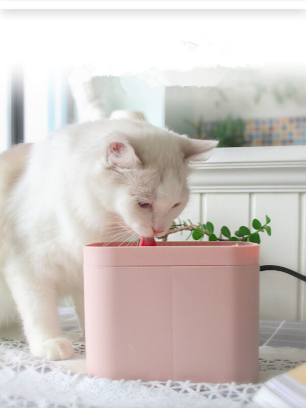 Pet Cat Smart Drinking Water Fountain - Image 6