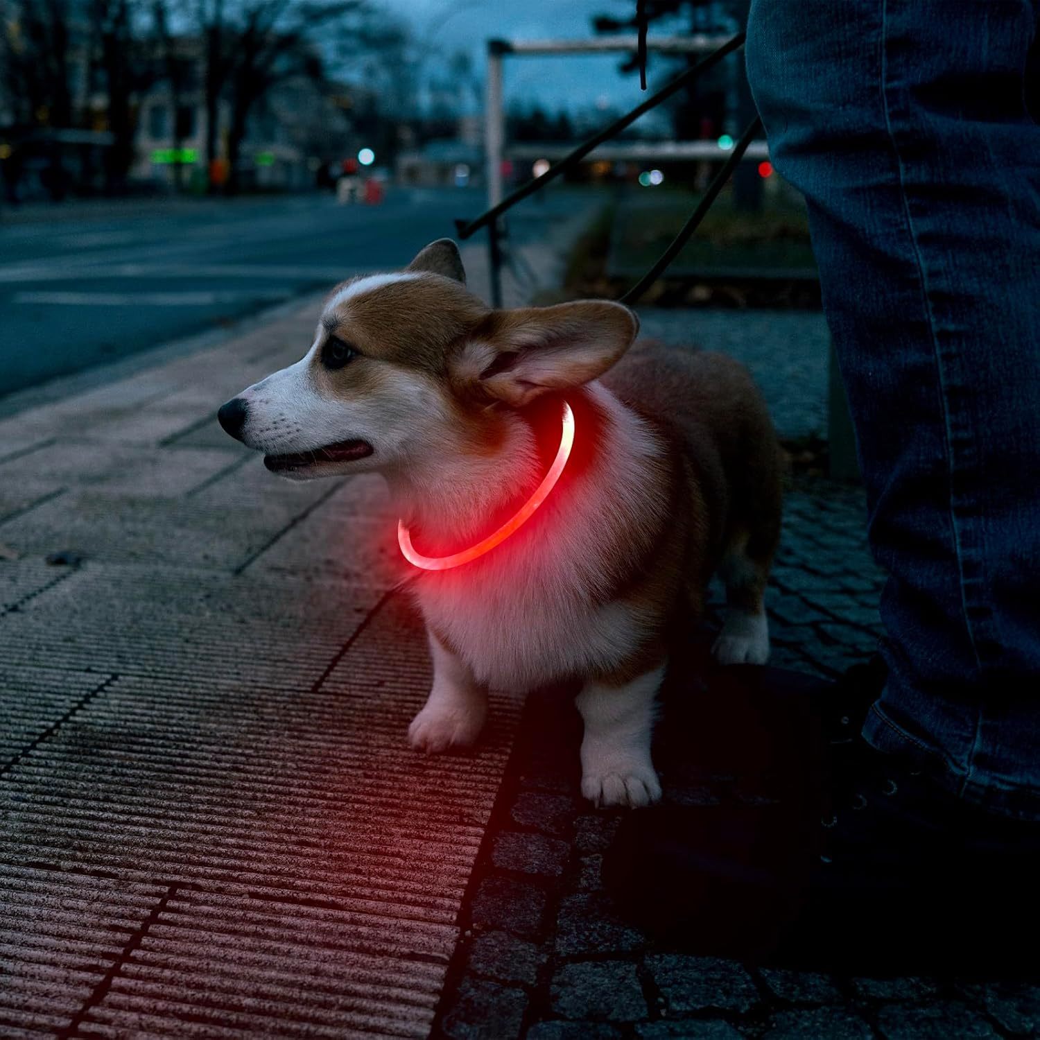 LED Dog Collar USB Rechargeable Glowing Pet Collars Lighted Up Safety Necklace Glow In The Dark For You Your Dogs - Image 7