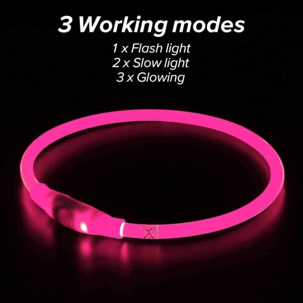LED Dog Collar USB Rechargeable Glowing Pet Collars Lighted Up Safety Necklace Glow In The Dark For You Your Dogs - Image 9