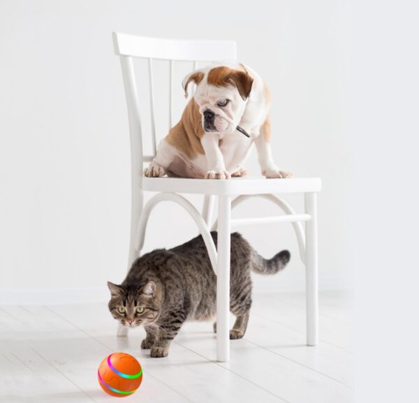 New Pet  Wicked Ball Toy – Smart Self‑Rotating USB Rechargeable Interactive Ball - Image 5