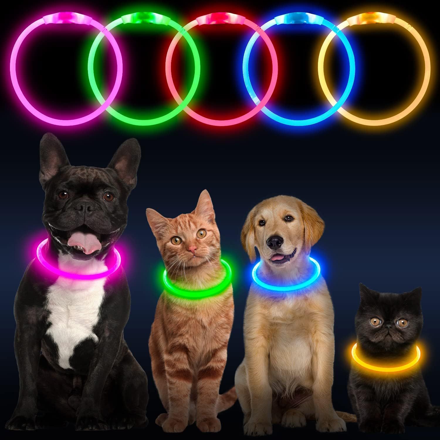 LED Dog Collar USB Rechargeable Glowing Pet Collars Lighted Up Safety Necklace Glow In The Dark For You Your Dogs - Image 2
